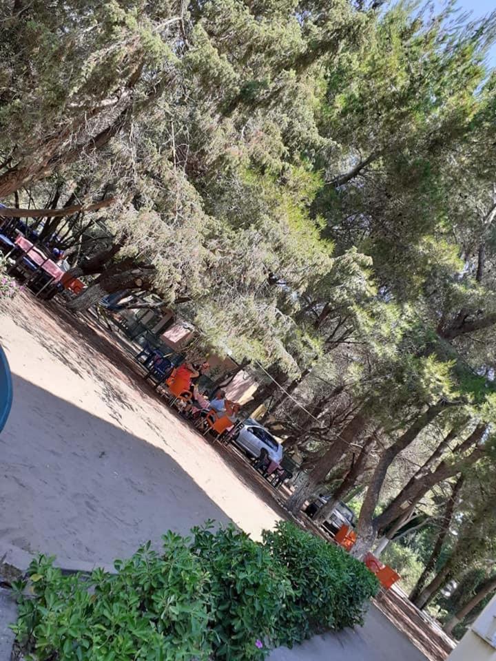 Divjaka Park Exterior foto